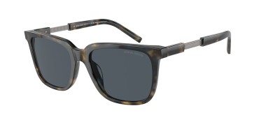 Giorgio Armani AR8202U-604887