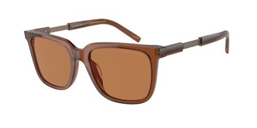 Giorgio Armani AR8202U-604973