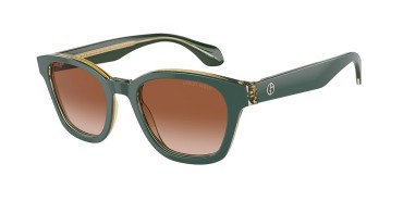 Giorgio Armani AR8207-608613