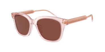 Giorgio Armani AR8210U-6073C5