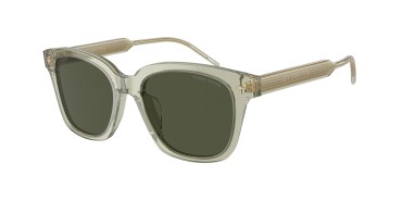 Giorgio Armani AR8210U-608331