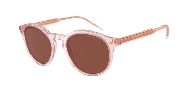 Giorgio Armani AR8211-6073C5