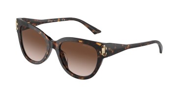 Jimmy Choo JC5018U-500213