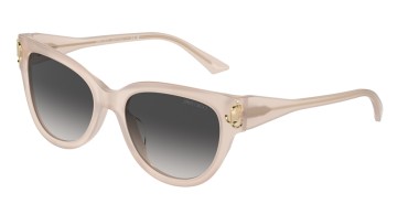 Jimmy Choo JC5018U-50258G