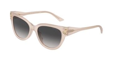 Jimmy Choo JC5018U-50258G