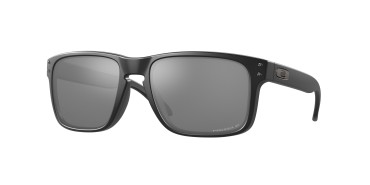 Oakley Holbrook OO9102-9102D6