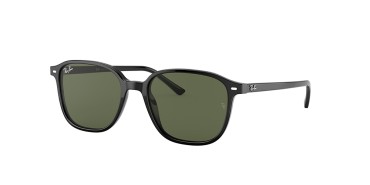 Ray-Ban ® Leonard RB2193-901/31