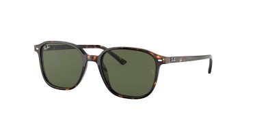 Ray-Ban ® Leonard RB2193-902/31