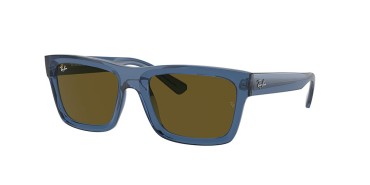 Ray-Ban Warren RB4396-668073