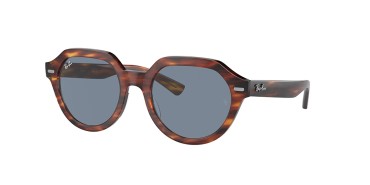 Ray-Ban Gina RB4399-954/62