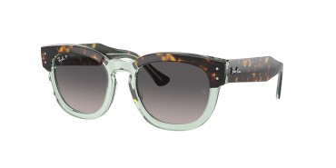 Ray-Ban Mega hawkeye RB0298S-1376M3