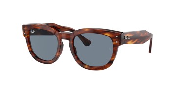 Ray-Ban Mega hawkeye RB0298S-954/62