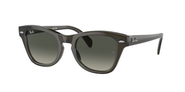 Ray-Ban RB0707S-664271