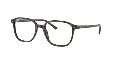 Ray-Ban Leonard RB2193-902/GH