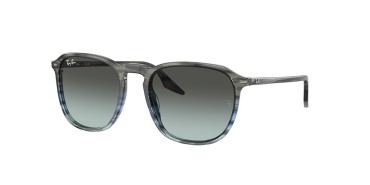 Ray-Ban RB2203-1391GK