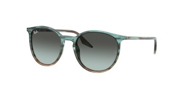 Ray-Ban RB2204-1394GK