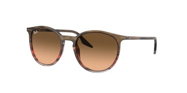 Ray-Ban RB2204-13953B