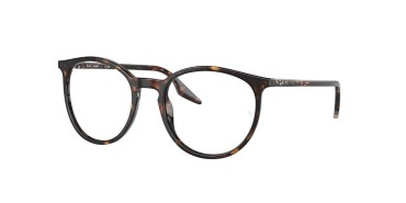 Ray-Ban RB2204-902/GJ