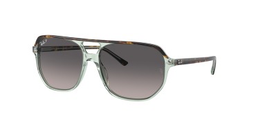 Ray-Ban Bill one RB2205-1376M3