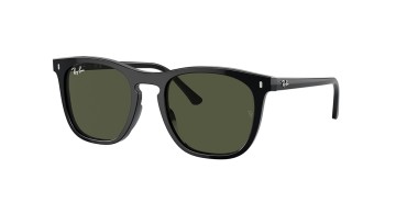 Ray-Ban RB2210-901/31