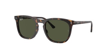 Ray-Ban RB2210-902/31