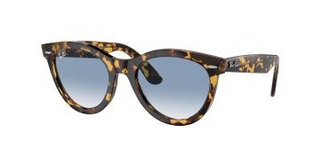 Ray-Ban RB2241-13323F-54