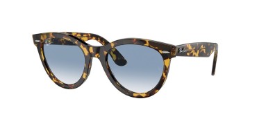 Ray-Ban RB2241-13323F