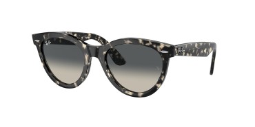 Ray-Ban RB2241-133371-54