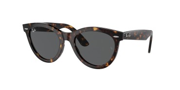 Ray-Ban RB2241-902/B1-54