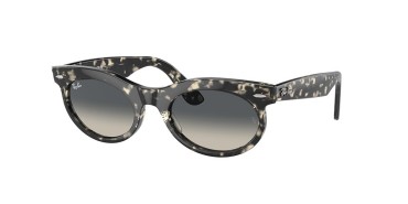 Ray-Ban RB2242-133371-53