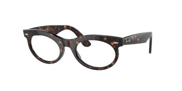 Ray-Ban RB2242-902/GI