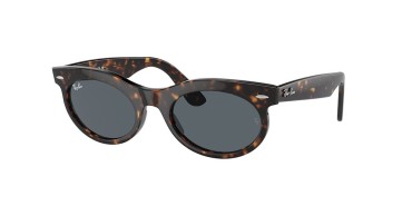 Ray-Ban RB2242-902/R5-53