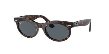 Ray-Ban RB2242-902/R5