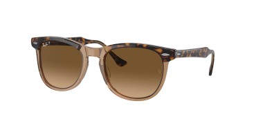 Ray-ban Eagleeye RB2398-1292M2