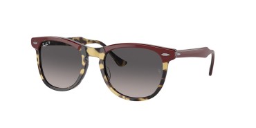 Ray-ban Eagleeye RB2398-1377M3