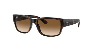 Ray-Ban RB4388-710/51-58