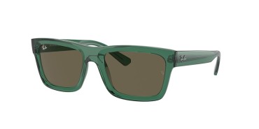 Ray-ban Warren RB4396-6681/3