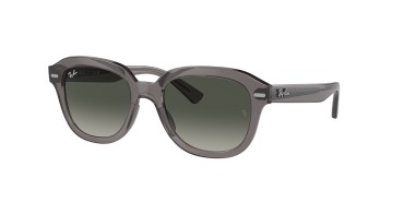 Ray-ban Erik RB4398-667571