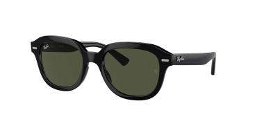 Ray-ban Erik RB4398-901/31