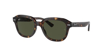 Ray-ban Erik RB4398-902/31