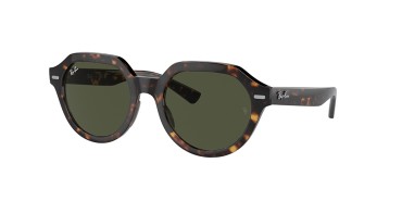 Ray-ban Gina RB4399-902/31