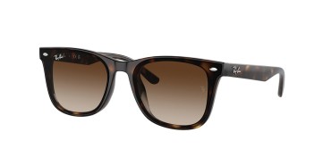 Ray-Ban RB4420-710/13