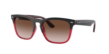 Ray-Ban ® Steve RB4487-663113