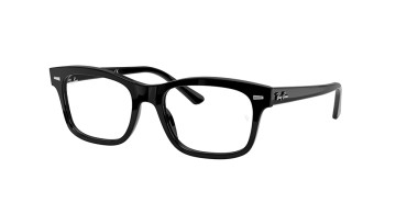 Ray-Ban ® Mr burbank RX5383-2000-52