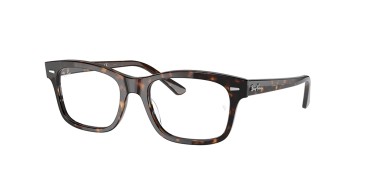 Ray-Ban ® Mr burbank RX5383-2012-52