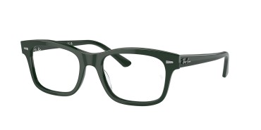 Ray-Ban Mr burbank RX5383-8226-54