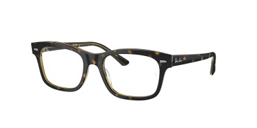 Ray-Ban ® Mr burbank RX5383-8285-54