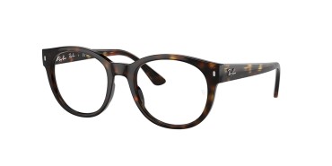 Ray-Ban RX7227-2012-51