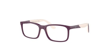 Ray-Ban RY1621-3931-49