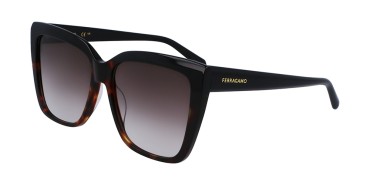 Salvatore Ferragamo SF1102S-006